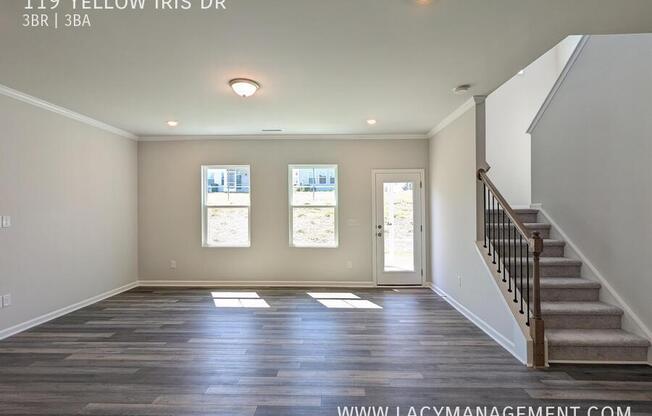 119 YELLOW IRIS DR