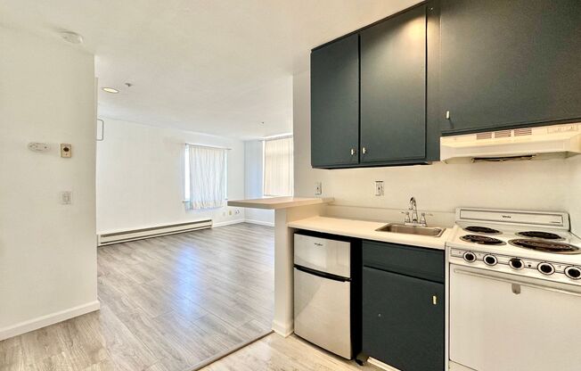 Epic REA: Bright Top Floor Corner Studio with Built-in Murphy Bed in SOMA