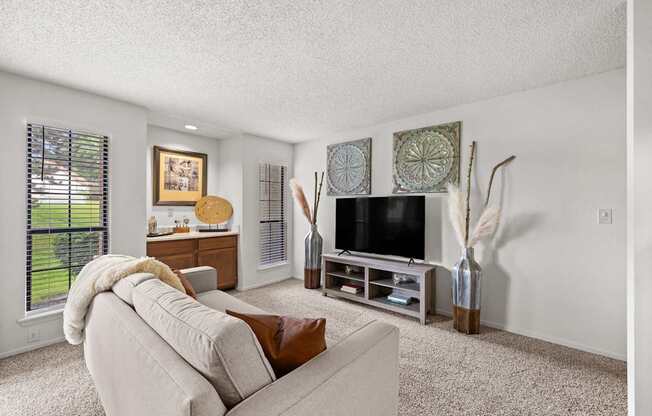 A living room with a couch, a television, and a vase.