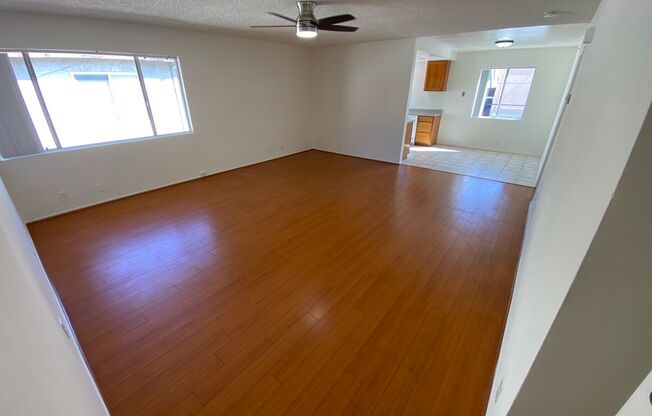 Main Terrrace/Electric