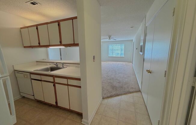 1500-202 Graduate Lane, Raleigh, NC 27606