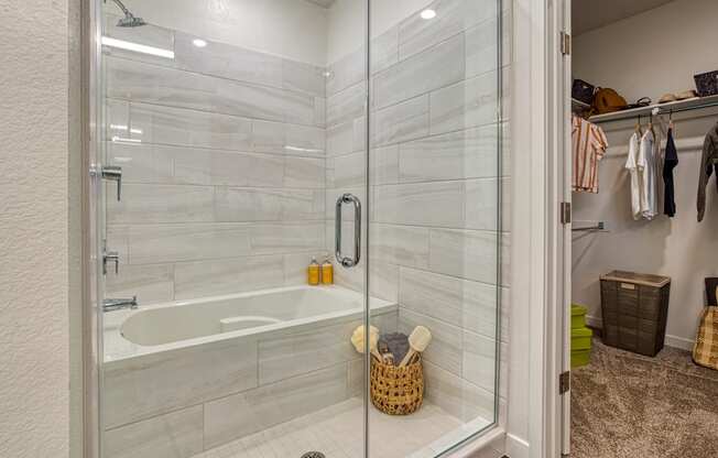 South Scottsdale Apartments - Lucent Scottsdale - Bathroom Soaking Tub with Shower, Adjacent Walk-In Closet