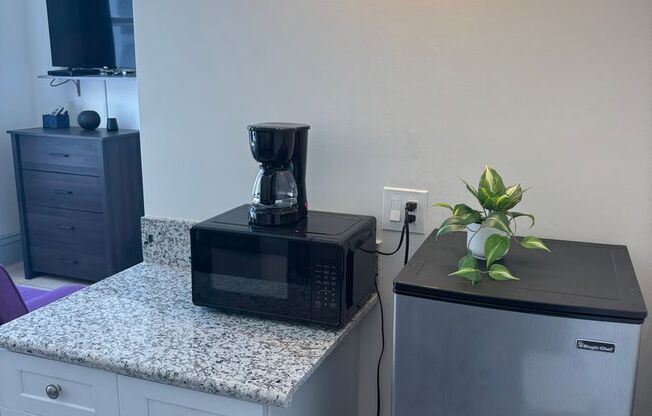 Studio, 1 bath, $1,400, Unit 42