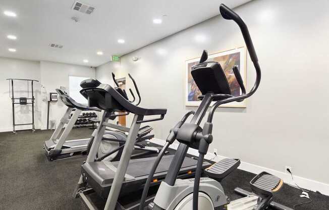 A row of stationary bikes are lined up in a brightly lit gym.