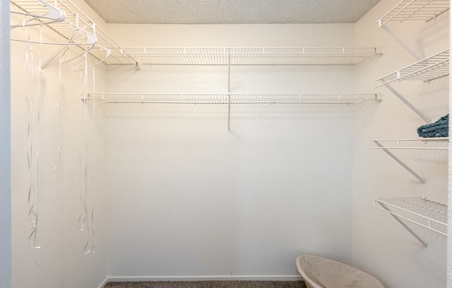a walk in closet with a shower and a toilet
