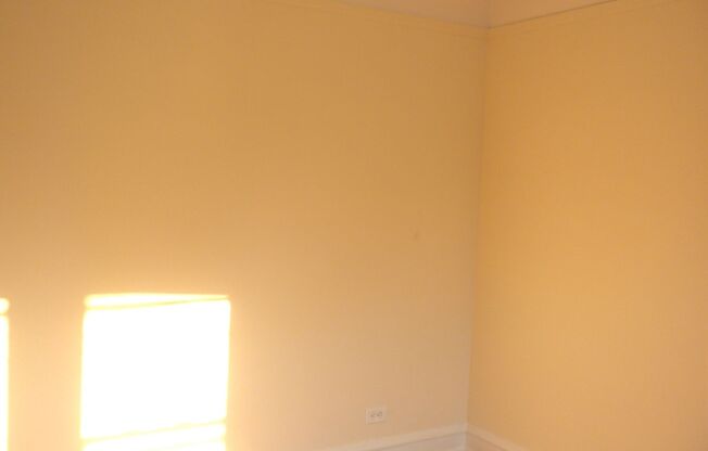 2944 Albany LLC
