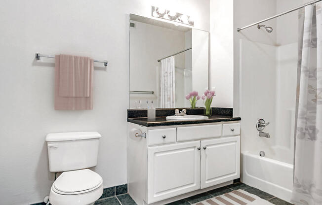 a white bathroom with a toilet and a sink and a shower