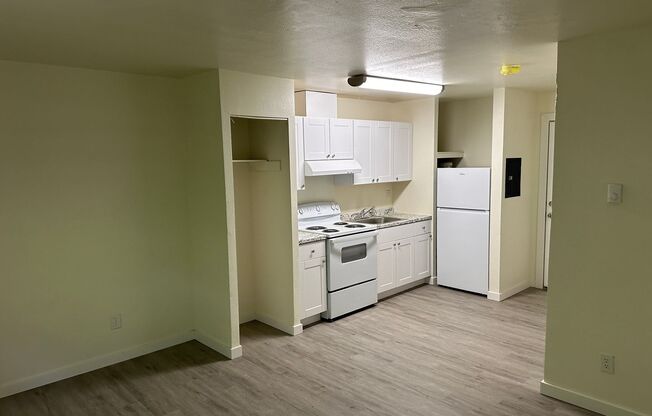 Studio, 1 bath, 650 sqft, $1,099, Unit 41-205