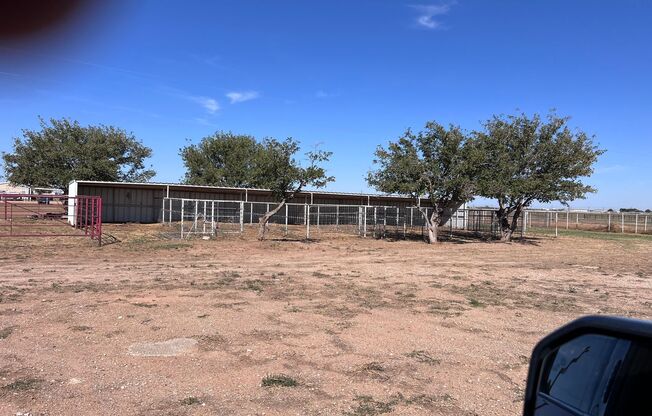 HORSE PROPERTY IN NW LUBBOCK                 2.19 Acres         AVAILABLE NOW