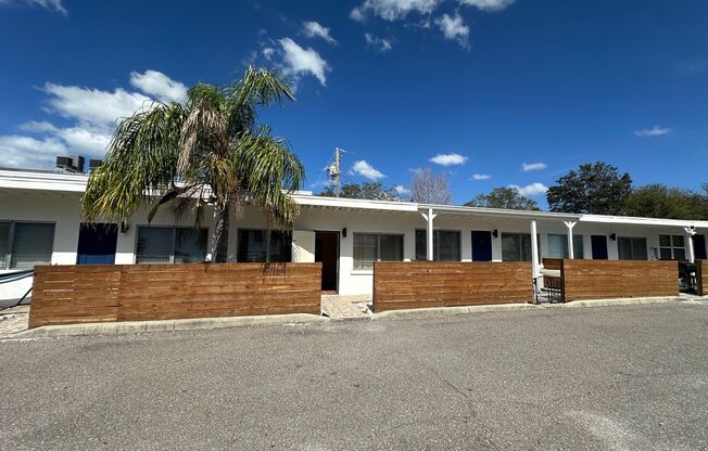 Bright 1/1 apartment across from water, walkable to DT Dunedin