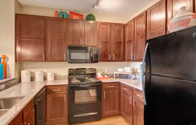 Kitchen with dark cabinets, black appliances, sink , countertops, and light hard wood flooring.