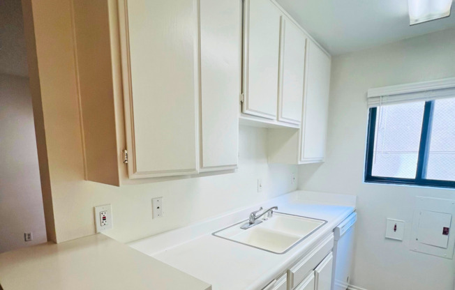 Studio, 1 bath, 500 sqft, $2,095, Unit 203