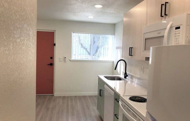 Studio, 1 bath, 450 sqft, $1,175, Unit 101