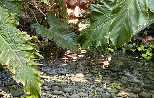 1 bed, 1 bath, 800 sqft, $2,245, Unit #48