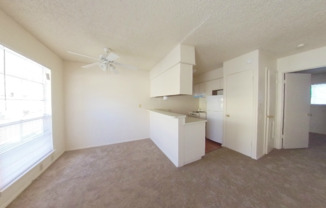 1 bed, 1 bath, 600 sqft, $800, Unit 103