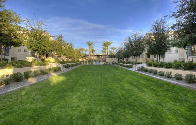 Grass area at Bella Victoria Apartments in Mesa Arizona January 2021 2