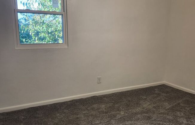 2 beds, 1 bath, $1,300