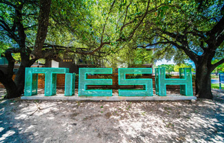 Mesh Apartments