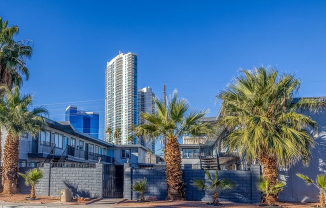 ARVO | Apartments For Rent in Central Las Vegas, NV