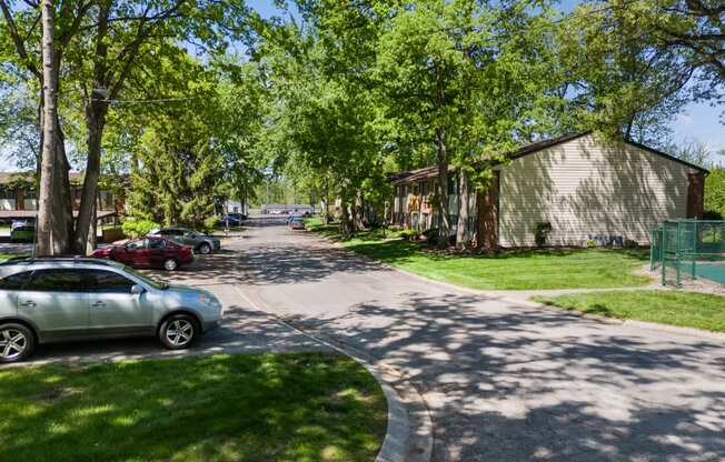 a tree lined street with cars parked on the side