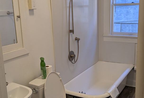 Studio, 1 bath, 335 sqft, $1,895, Unit Unit 310 (furnished)