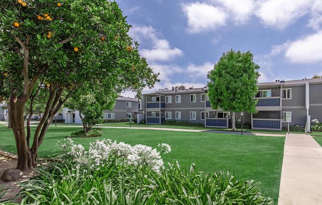 A view of a well-maintained apartment complex surrounded by lush green lawns. Flowering plants are in the foreground, with trees bearing oranges adjacent to the buildings. The sky is partly cloudy, creating a bright and inviting atmosphere. The architecture features a modern design with multiple levels.