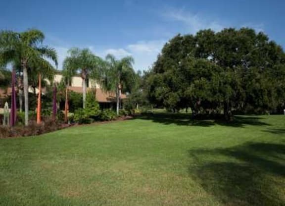Thumbnail 16 of 22 - Lush Landscaping at L&#x27;Estancia, Sarasota, FL, 34231