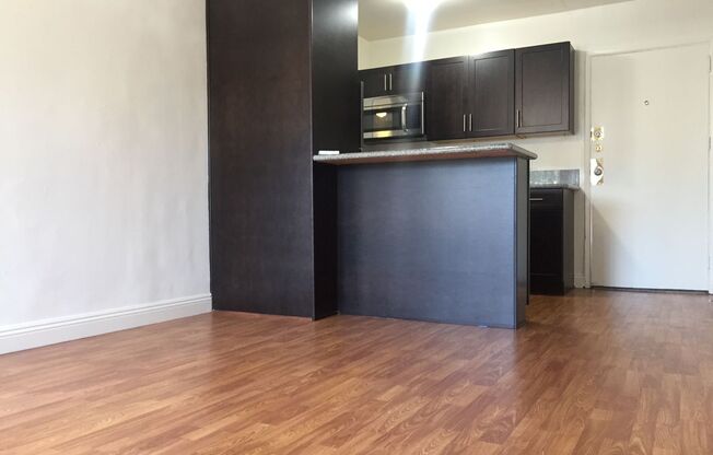 1 bed, 1 bath, 500 sqft, $2,095, Unit 302