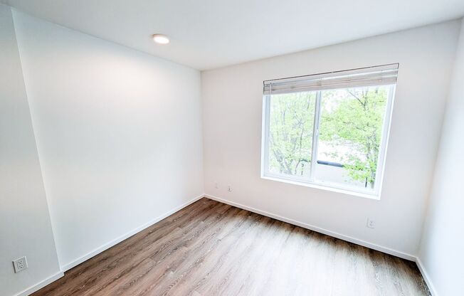 Studio, 1 bath, 186 sqft, $1,425, Unit 331
