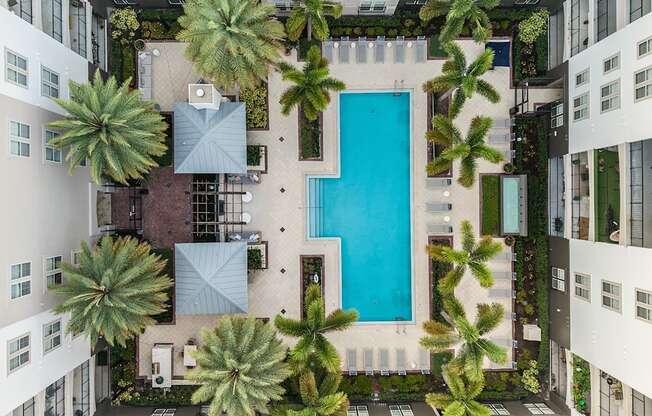 A swimming pool surrounded by palm trees and buildings.