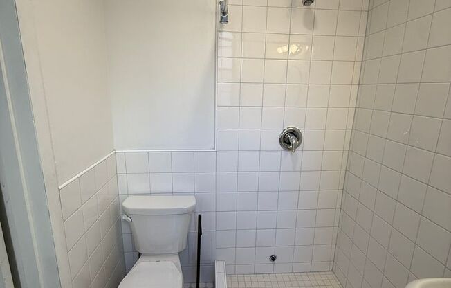 Studio, 1 bath, 294 sqft, $1,250, Unit New King Edward 8A4