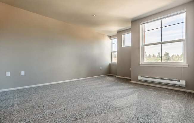 A spacious room with a large window and a carpeted floor.
