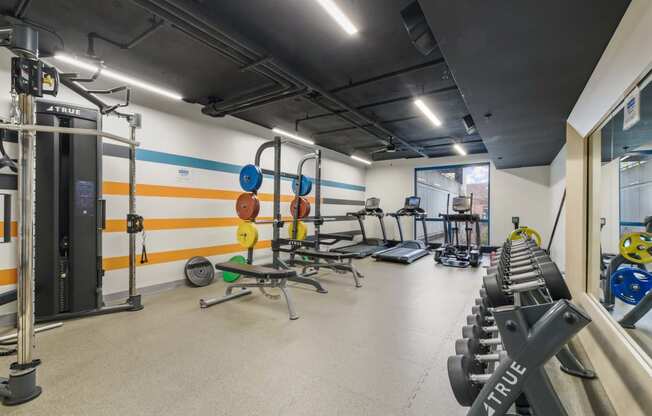 the gym is equipped with weights and cardio equipment at the apartments