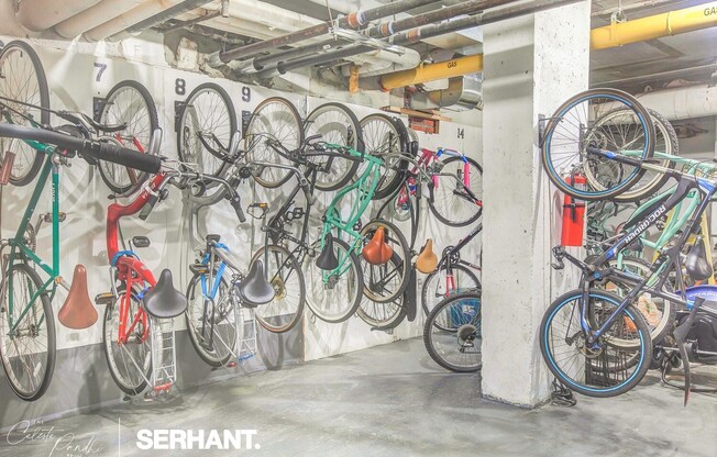 2 beds, 1 bath, 1,000 sqft, $5,500, Unit 15B