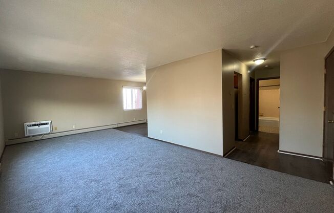1 bed, 1 bath, 970 sqft, $970, Unit 310
