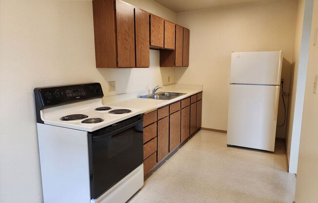 1 bed, 1 bath, 465 sqft, $1,100, Unit 312