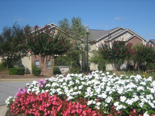 1 bed, 1.5 baths, 834 sqft, $1,225, Unit 4415-2A