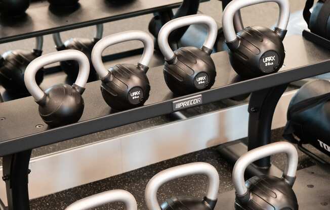 a rack of dumbbells and weights in a gym