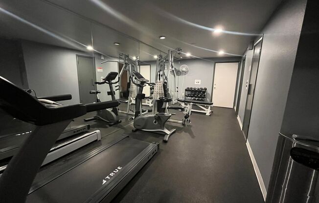 1 bed, 1 bath, 500 sqft, $1,295, Unit 411