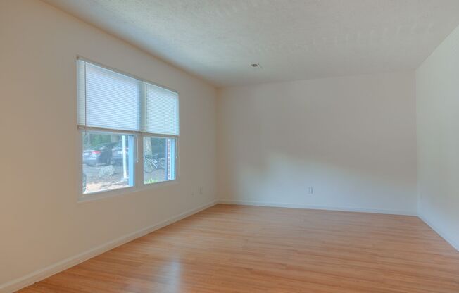 4 bedroom / 2 1/2 Bath. Undergrad Welcome. Off Street Parking, Bus Route