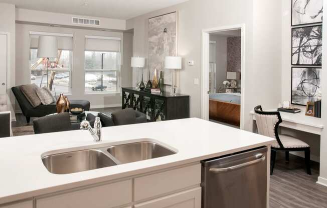 Double Stainless Steel Sink with Integrated Sprayer at Residences at 1700, Minnetonka, Minnesota