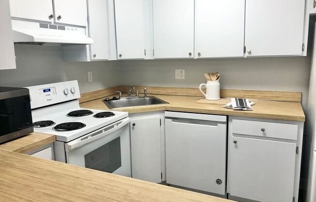 1 bed, 1 bath, $1,300