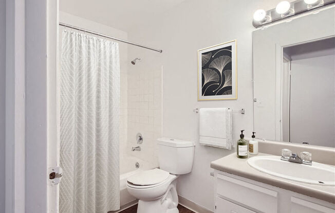 a bathroom with a toilet sink and shower and a mirror