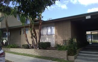 445 XIMENO AVE.