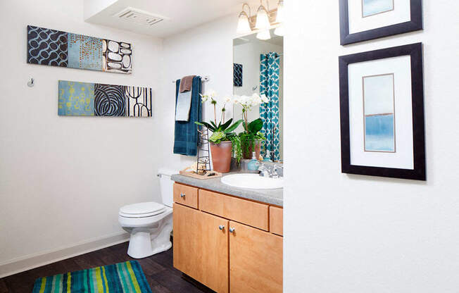 Ardenne Apartments Bathroom with light brown vanity, grey countertop, white sink and green and blue striped rug