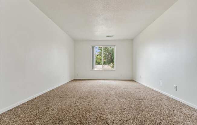 Bedroom with Carpet