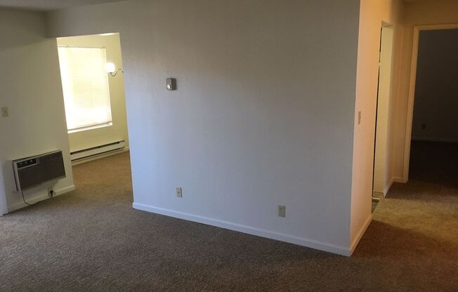 1 bed, 1 bath, $1,125