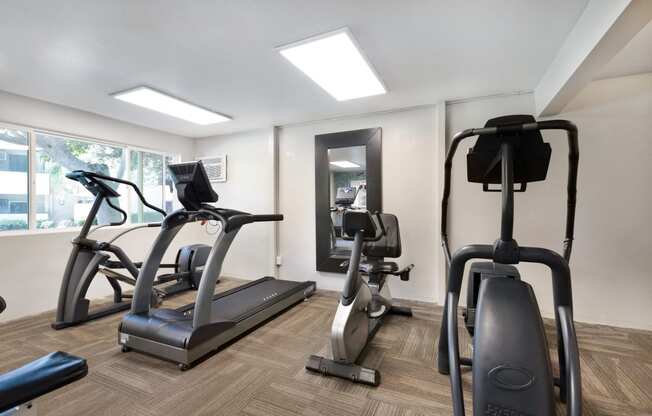 two treadmills and ellipticals in a gym with a window