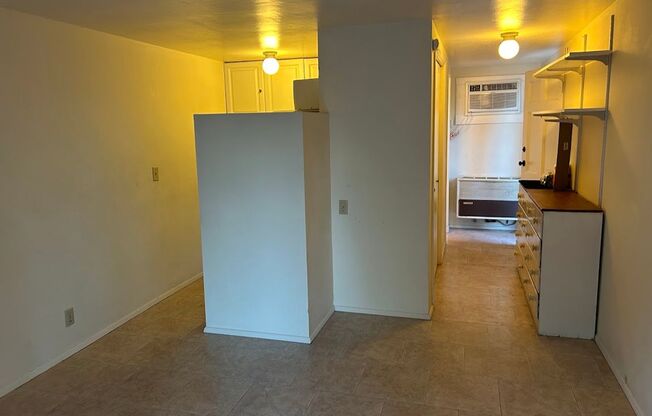 Studio, 1 bath, 318 sqft, $699, Unit PI 1625-5A