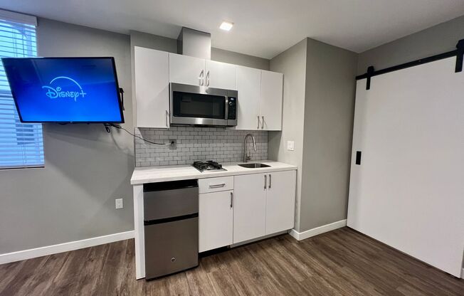 Studio, 1 bath, 257 sqft, $1,725, Unit 435-313